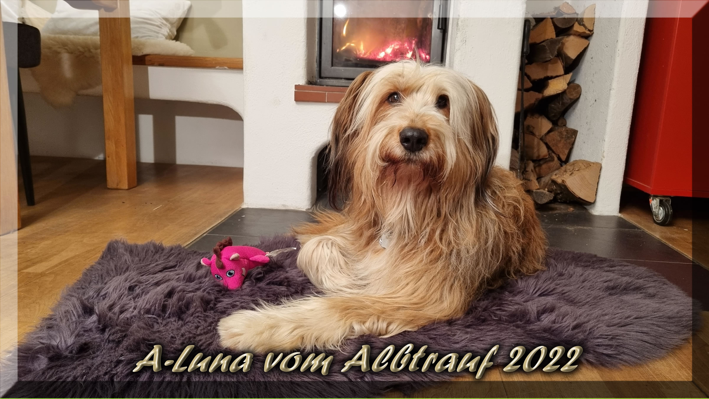 Luna_von_der_Straubenhalde_2022